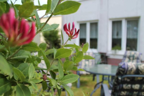 M9 Ferienwohnung mit Balkon am Waldrand im Ostseeland, Neubukow